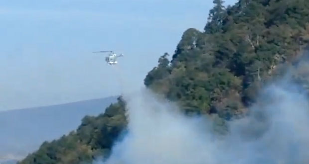PC liquida 6 incendios forestales y atiende 12 activos en Puebla