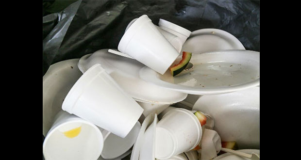 Diputados piden a fabricantes de plásticos y unicel migrar a biodegradables