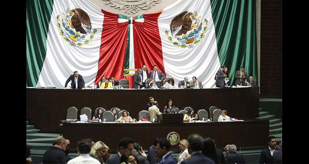 En San Lázaro, van contra propuesta para sacrificar perros en Puebla