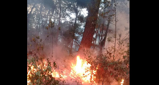 Incendios en Tlatlauquitepec y Ahuazotepec, descontrolados, acusan