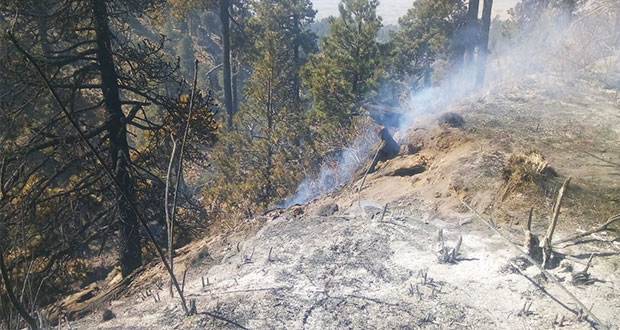 Hay 16 incendios forestales activos y 11 liquidados en Puebla: SGG