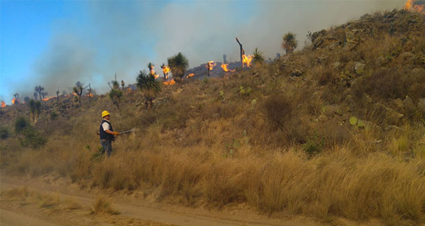 PC estatal combate incendios forestales en diez municipios poblanos