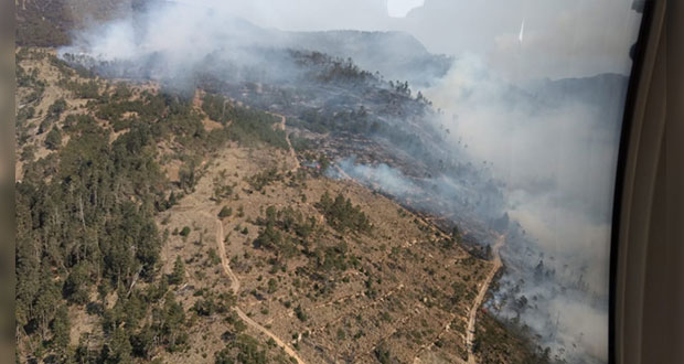 Protección Civil pide prevenir incendios forestales