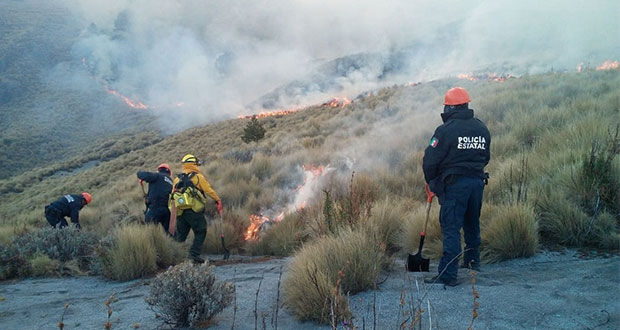 Controlan incendio forestal en La Malinche; fue causado por fogata
