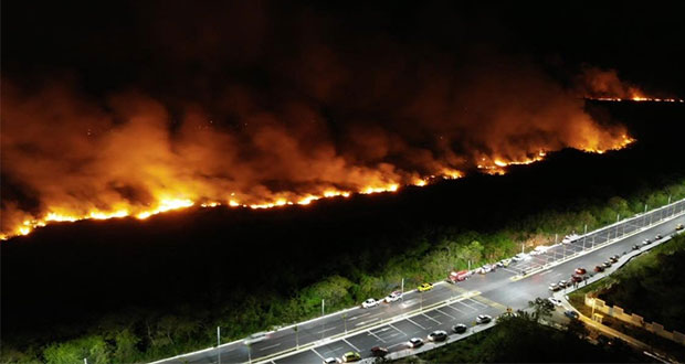 Incendio consume 200 hectáreas de manglar en Los Petenes, Campeche