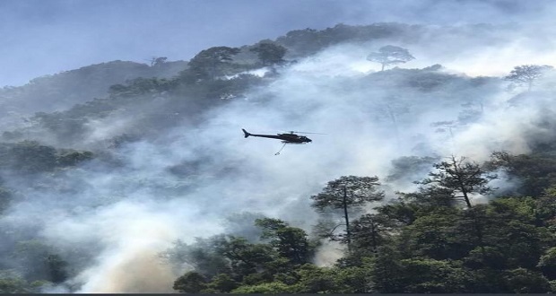 Gobierno actuará penalmente contra quienes provoquen incendios forestales