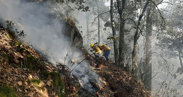 Puebla, con 7 incendios forestales liquidados y 13 activos en 12 municipios