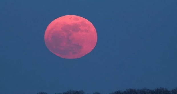 Disfruta este viernes de la Luna Rosa; se verá más grande