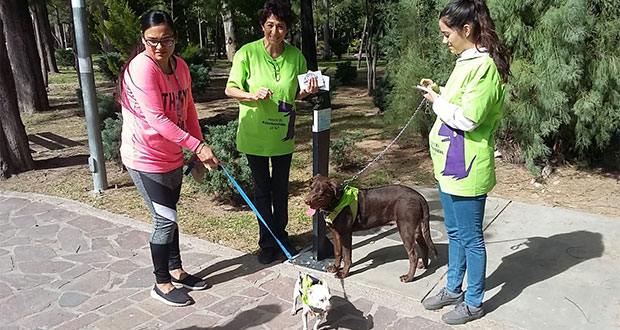 Convocan a quinta activación ciudadana “sin mordidas” en Puebla