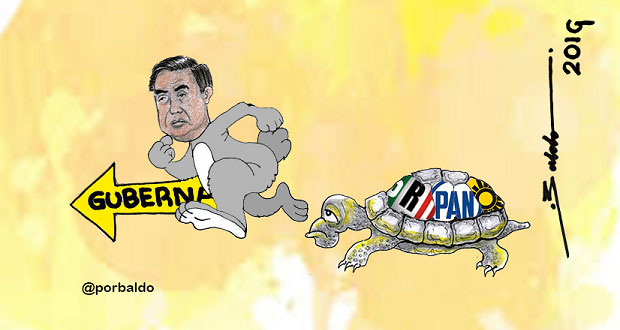 Caricatura: El conejo moreno y la tortuga "fifi"
