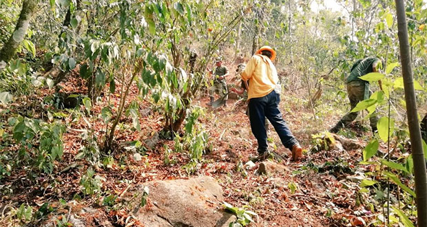 Cero incendios forestales activos en la entidad, reporta PC