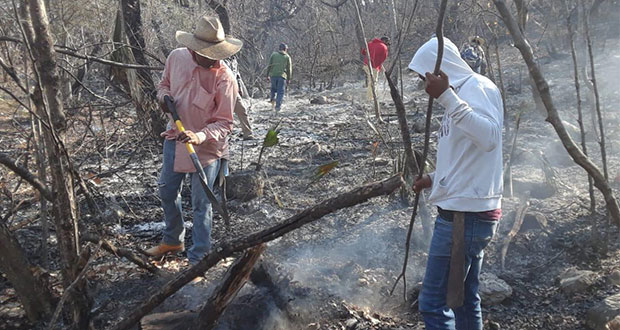 Sofocan 3 incendios forestales y combaten uno en Puebla: SGG