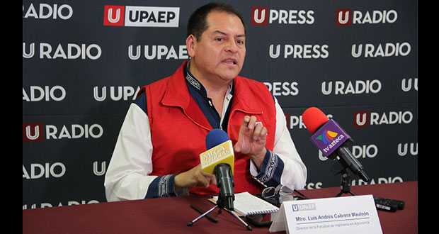 Puebla, 7º lugar en producción de jitomate a nivel nacional: Upaep