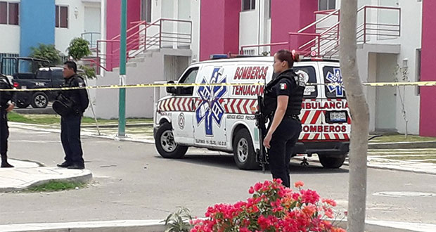 Niña pierde la vida tras ataque de perro pitbull en Tehuacán