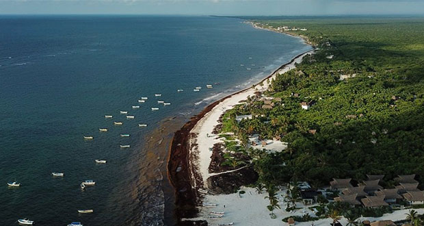 Quintana Roo, en alerta por sargazo