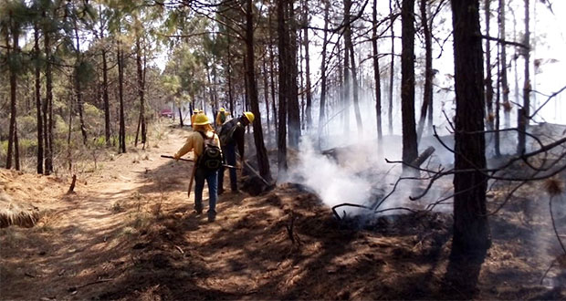 Sólo hay 2 incendios forestales activos en Puebla, informa PC