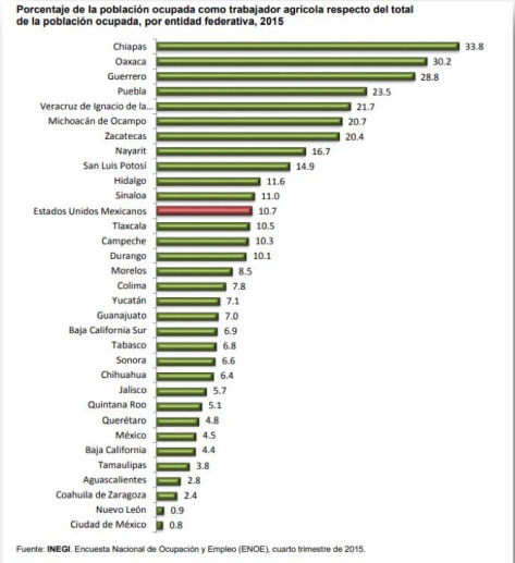 Puebla, segundo lugar en trabajo infantil durante 2018; concentra el 11.9%
