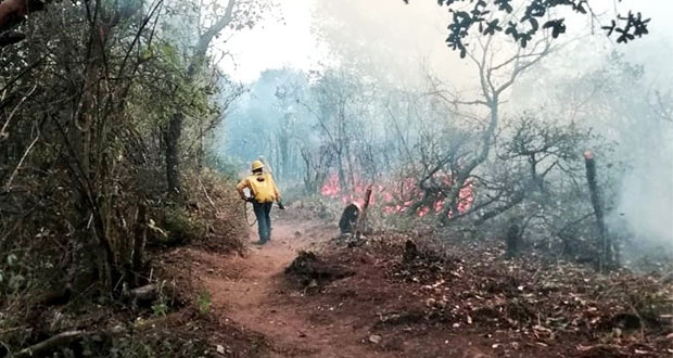 Liquidan 6 incendios forestales y restan 3 activos: PC