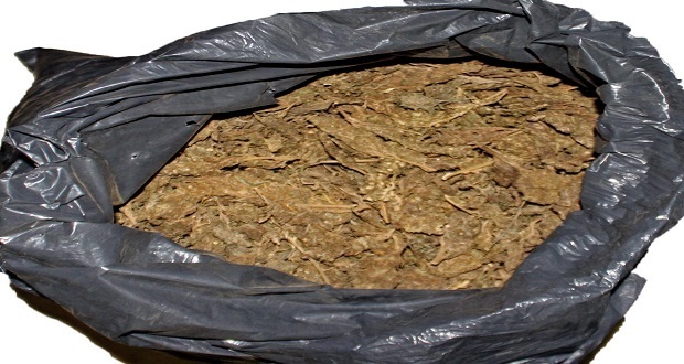 Aseguran 21 kilos de posible marihuana en colonia Tres Cruces
