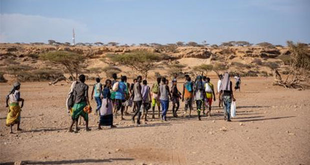 9 mil migrantes pasaron por el Cuerno de África y península Arábiga