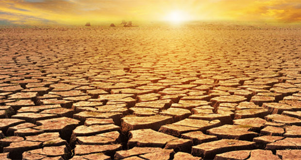 Actividad humana y variación de clima causa desertificación: Conacyt