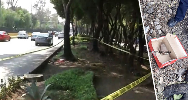 Encuentran mano humana dentro de una caja de zapatos en CDMX