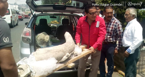 Encuentran restos prehispánicos en Totimehuacán y piden museo de sitio