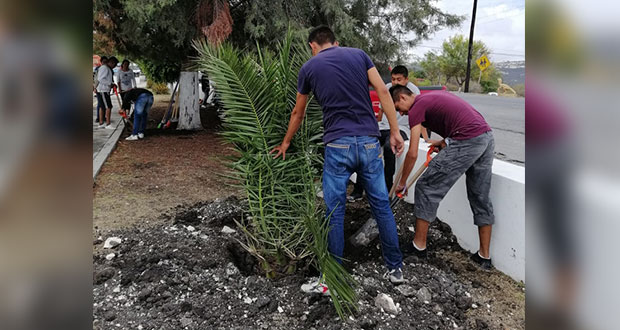 Estudiantes reforestan áreas verdes de bachillerato en Tepexi
