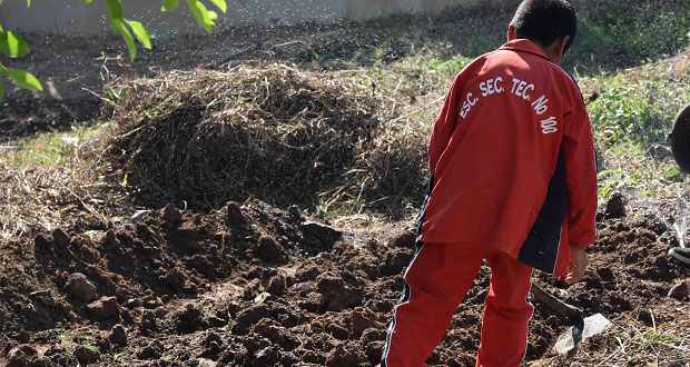 En Huitzilan, secundaria 100 impulsa práctica de técnicas agrícolas
