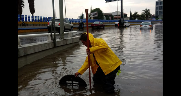 Lluvias en Puebla dejan inundaciones, árboles caídos y un desaparecido