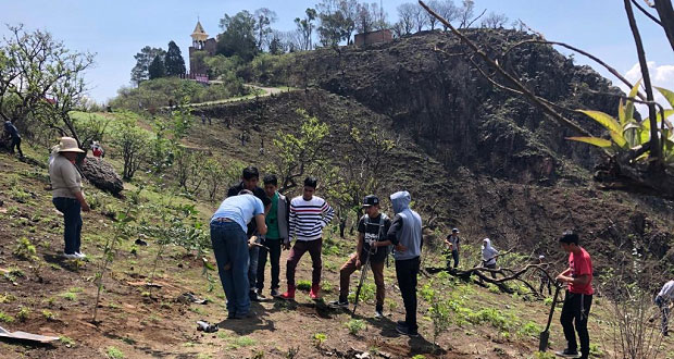 Realizan jornada de reforestación en localidad de Ocoyucan