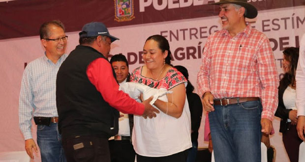 SGG y SDR entregan estímulos agrícolas a pueblos originarios