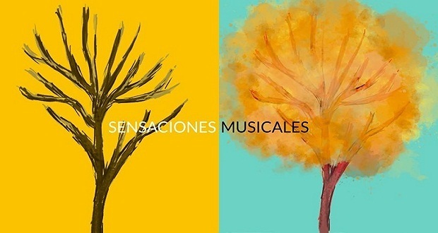 “Sensaciones musicales”, un concierto que busca unir cuerpo y sonido