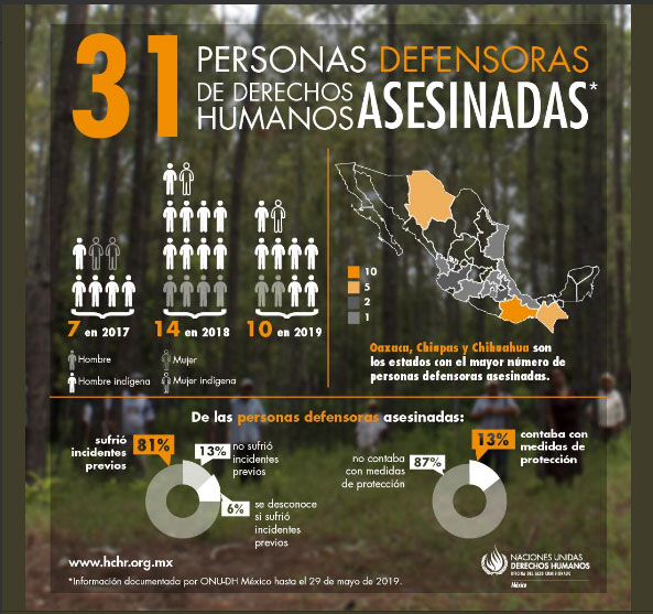 Puebla, de los 12 estados con asesinatos de defensores de DH: ONU