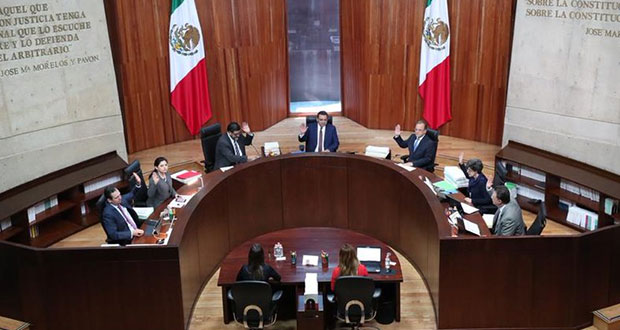 Tepjf ordena al INE aceptar denuncia del PAN contra PVEM y Gerardo Islas