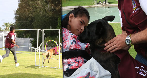 Arranca en Puebla Escuela Canina K9 y así funcionará