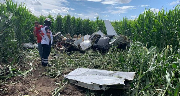 Desplome de avioneta deja cuatro muertos en plantío de Chihuahua