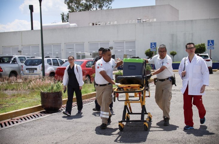 Joven dona órganos y beneficia a cinco pacientes de Puebla y CDMX