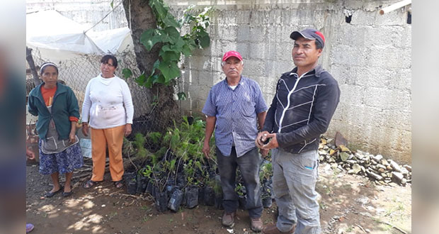 Reforestarán colonias del norte de la ciudad de Puebla