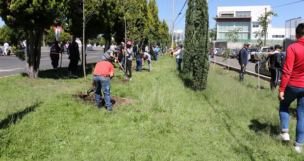 Siembran más de 3 mil árboles en la vía Quetzalcóatl