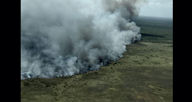 Incendios consumen más de 2 mil hectáreas en reserva de Sian Ka'an