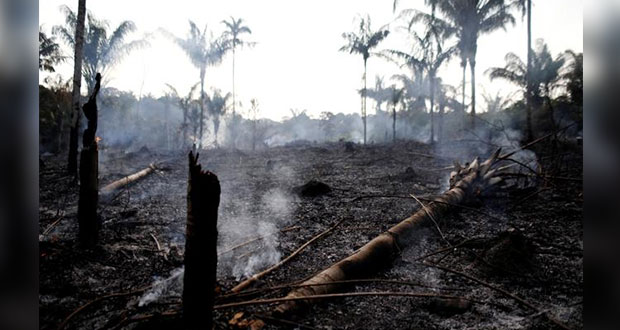 Amazonas sufre devastación por 16 días de incendios forestales