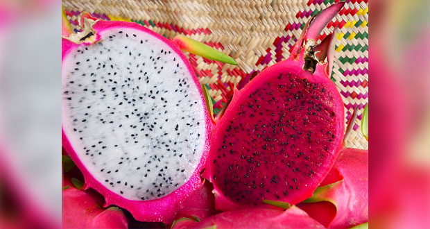 Invitan a la cuarta Feria de la Pitahaya en Santa Inés Ahuatempan