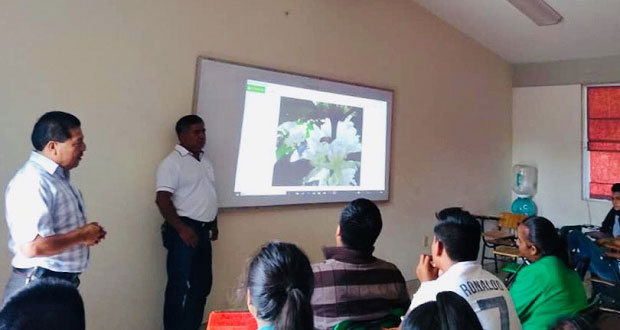 Formación en CBTA de Ahuacatlán incluye estudio de la realidad