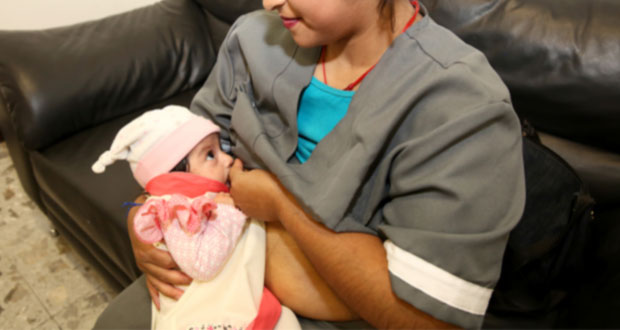 Sustituir leche materna deja desprotegidos a recién nacidos: Issste