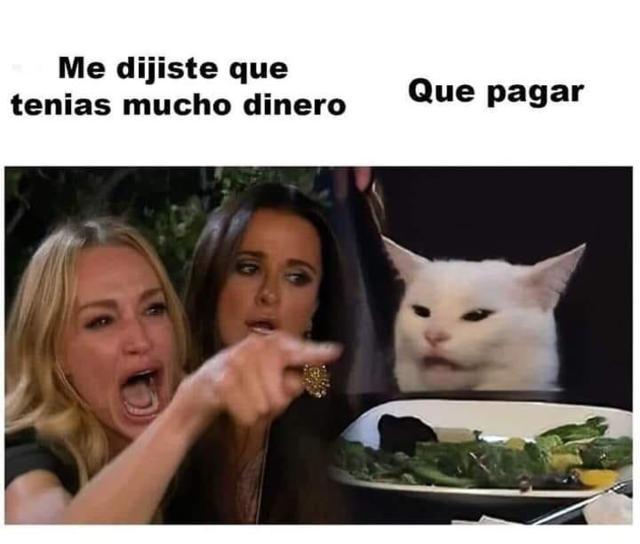 El meme del gato en la mesa tiene una historia, aquí te la contamos