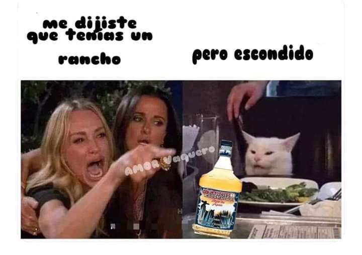 El meme del gato en la mesa tiene una historia, aquí te la contamos