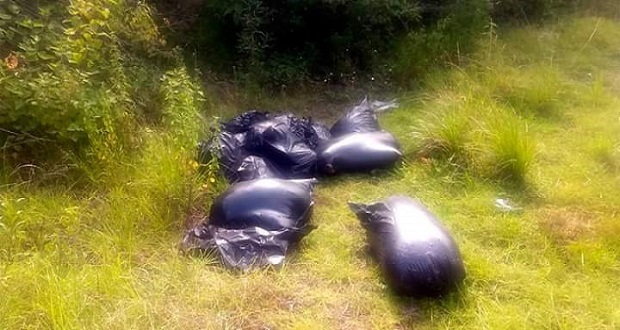 Hallan cuatro cuerpos embolsados en Veracruz y FGR investiga si son de Puebla