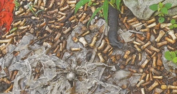 En Sinaloa, hallan más de 2 mil fragmentos de huesos humanos