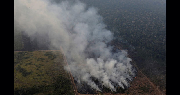 G7 destinará 20 mdd para combatir incendios en el Amazonas